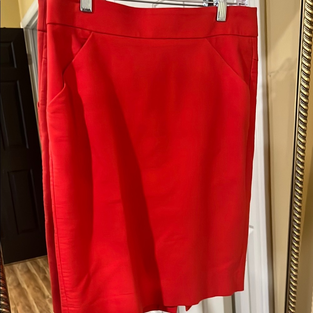 Elegant JCrew Skirt